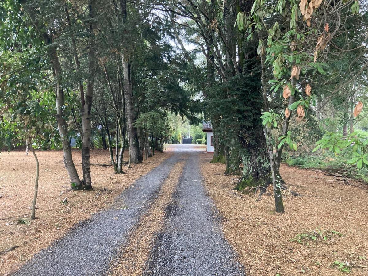Motel Los Robles Τεμούκο Εξωτερικό φωτογραφία